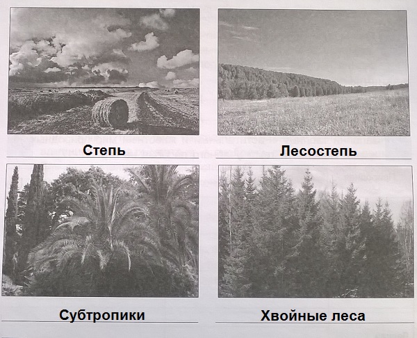 Определи природные зоны Краснодарского края