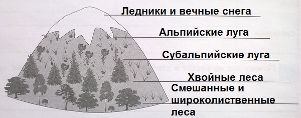 природные зоны в горах Кавказа