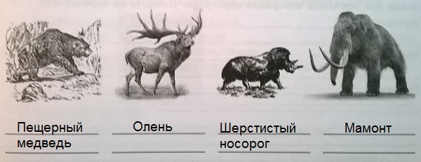 названия животных эпохи палеолита