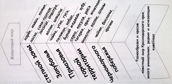 фишбоу "Животный мир природных комплексов Краснодарского края"