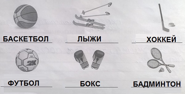 виды спорта
